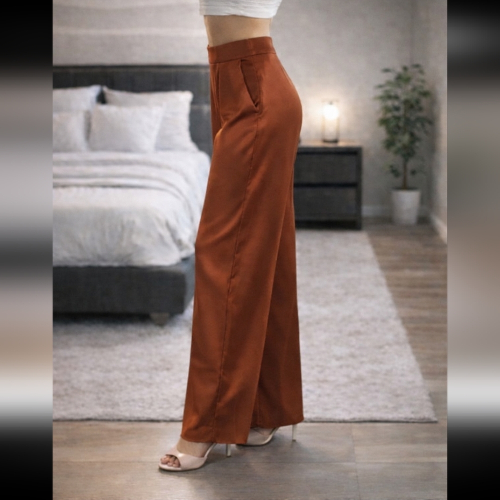 Express Rust Wide-Leg Pants Satin Like Front Pleat Smocked 6R/M